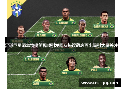 足球巨星晒宠物搞笑视频引发网友热议萌态百出吸引大量关注 足球巨星晒宠物搞笑视频引发网友热议萌态百出吸引大量关注