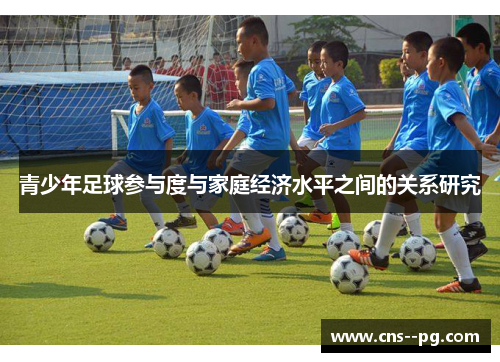青少年足球参与度与家庭经济水平之间的关系研究