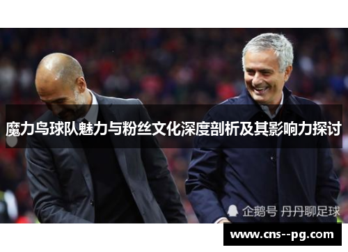魔力鸟球队魅力与粉丝文化深度剖析及其影响力探讨